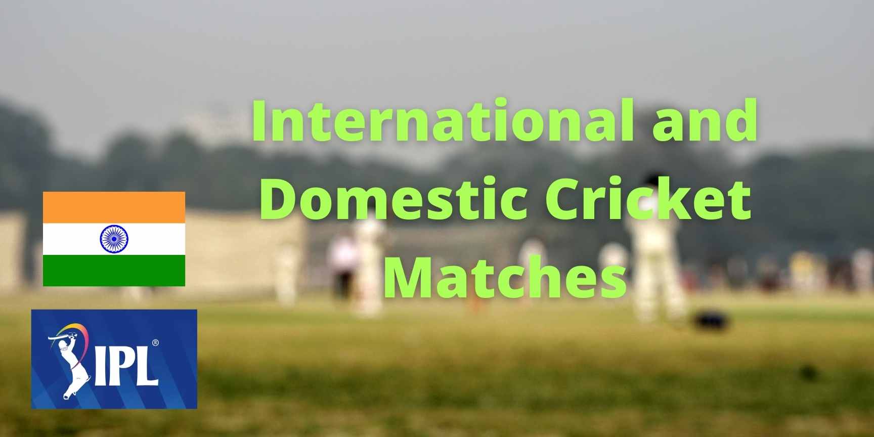 International and Domestic Cricket Matches